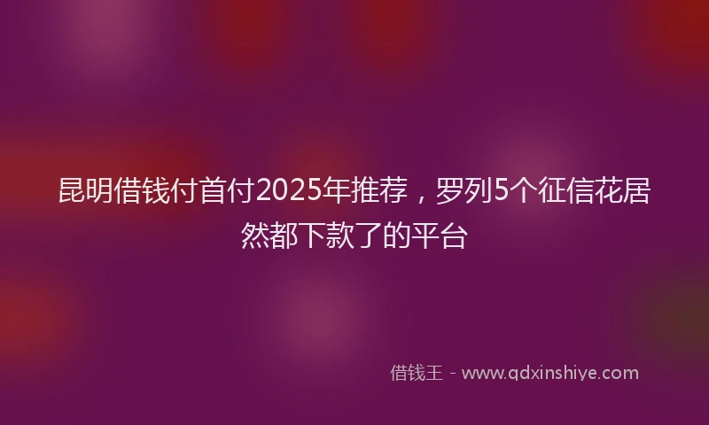 昆明借钱付首付2025年推荐，罗列5个征信花居然都下款了的平台
