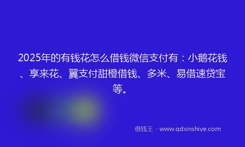 2025年的有钱花怎么借钱微信支付有：小鹅花钱、享来花、翼支付甜橙借钱、多米、易借速贷宝等。