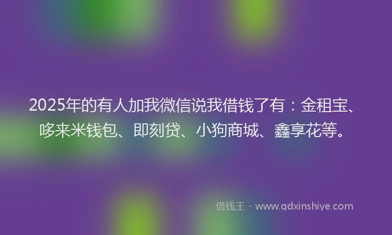 2025年的有人加我微信说我借钱了有：金租宝、哆来米钱包、即刻贷、小狗商城、鑫享花等。