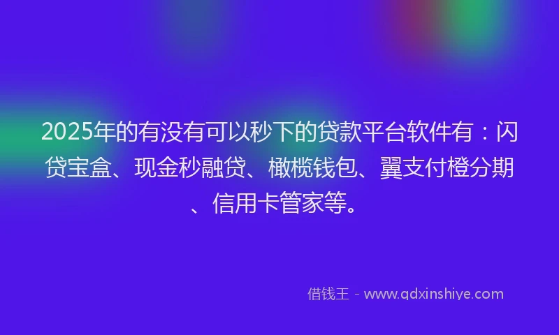 2025年的有没有可以秒下的贷款平台软件有：闪贷宝盒、现金秒融贷、橄榄钱包、翼支付橙分期、信用卡管家等。
