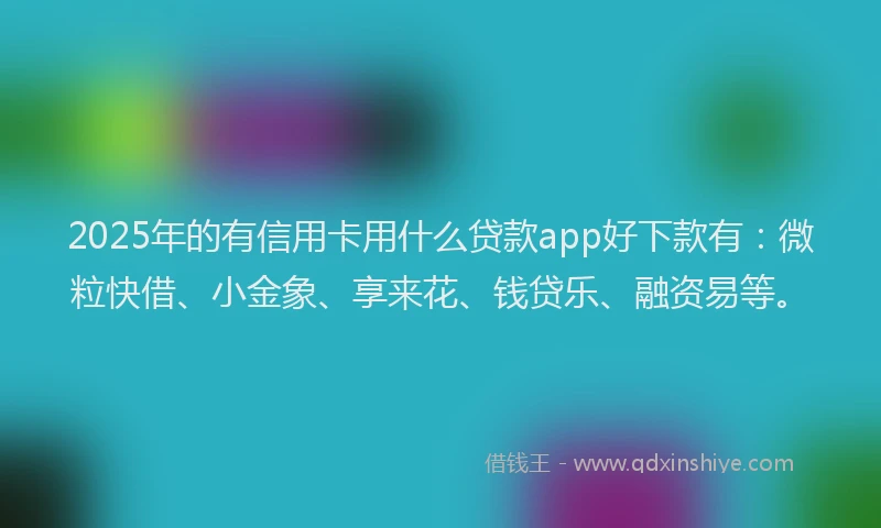 2025年的有信用卡用什么贷款app好下款有：微粒快借、小金象、享来花、钱贷乐、融资易等。