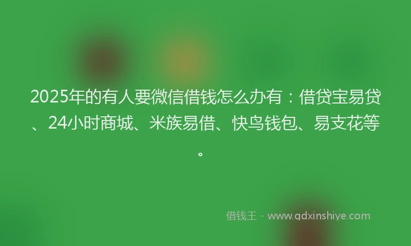 2025年的有人要微信借钱怎么办有：借贷宝易贷、24小时商城、米族易借、快鸟钱包、易支花等。