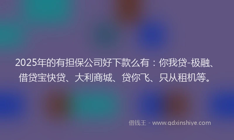 2025年的有担保公司好下款么有：你我贷-极融、借贷宝快贷、大利商城、贷你飞、只从租机等。