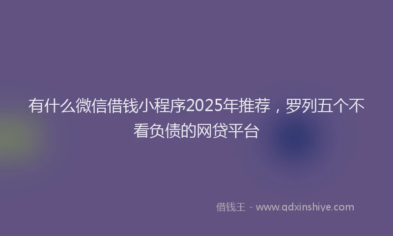 有什么微信借钱小程序2025年推荐，罗列五个不看负债的网贷平台