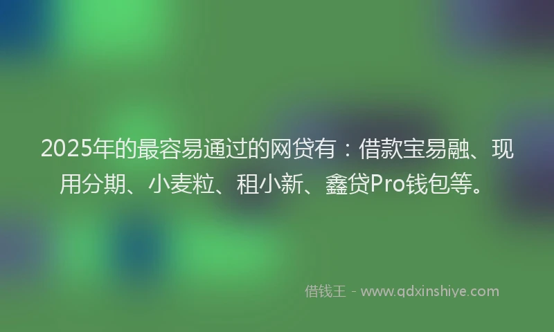 2025年的最容易通过的网贷有：借款宝易融、现用分期、小麦粒、租小新、鑫贷Pro钱包等。