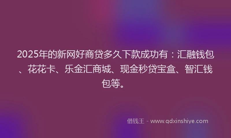 2025年的新网好商贷多久下款成功有：汇融钱包、花花卡、乐金汇商城、现金秒贷宝盒、智汇钱包等。