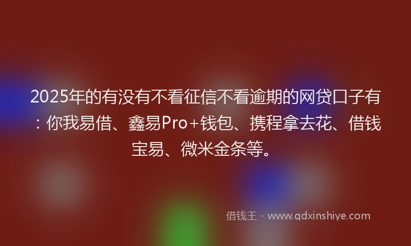 2025年的有没有不看征信不看逾期的网贷口子有：你我易借、鑫易Pro+钱包、携程拿去花、借钱宝易、微米金条等。