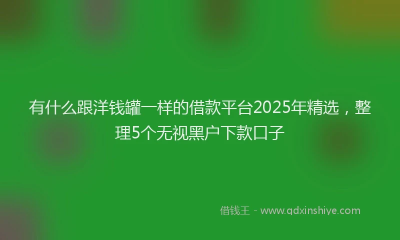 有什么跟洋钱罐一样的借款平台2025年精选，整理5个无视黑户下款口子