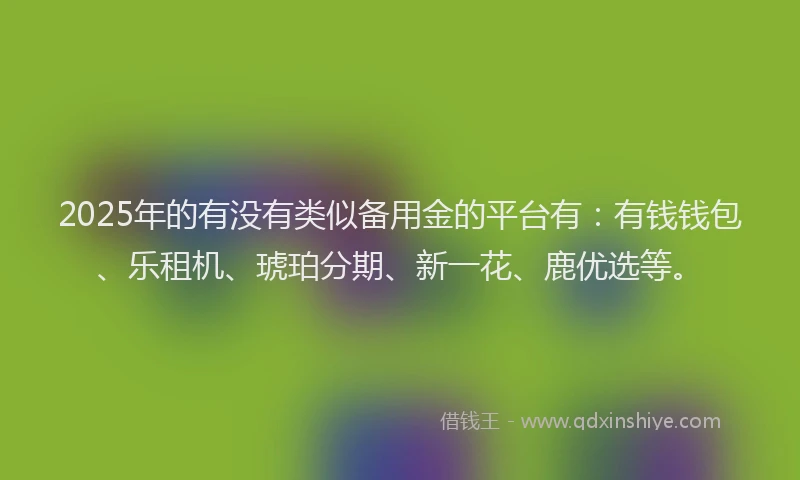 2025年的有没有类似备用金的平台有：有钱钱包、乐租机、琥珀分期、新一花、鹿优选等。