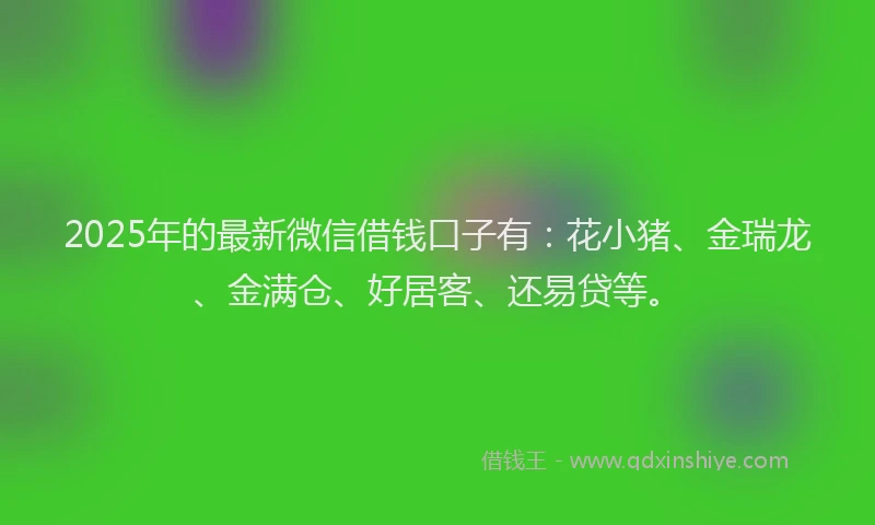 2025年的最新微信借钱口子有：花小猪、金瑞龙、金满仓、好居客、还易贷等。