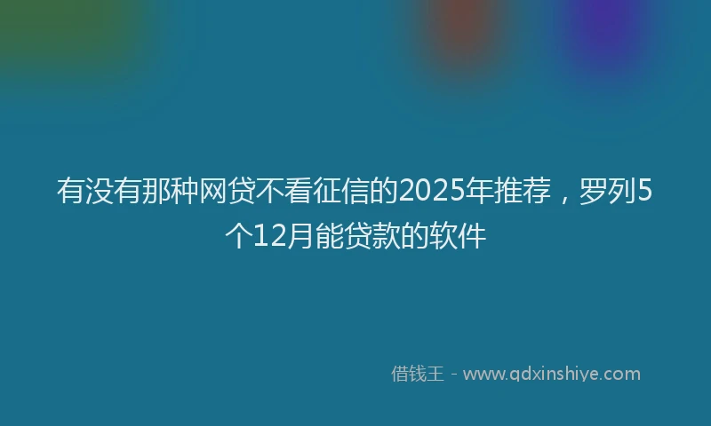 有没有那种网贷不看征信的2025年推荐，罗列5个12月能贷款的软件