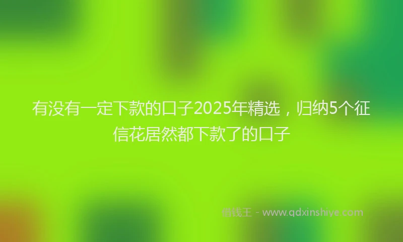 有没有一定下款的口子2025年精选，归纳5个征信花居然都下款了的口子
