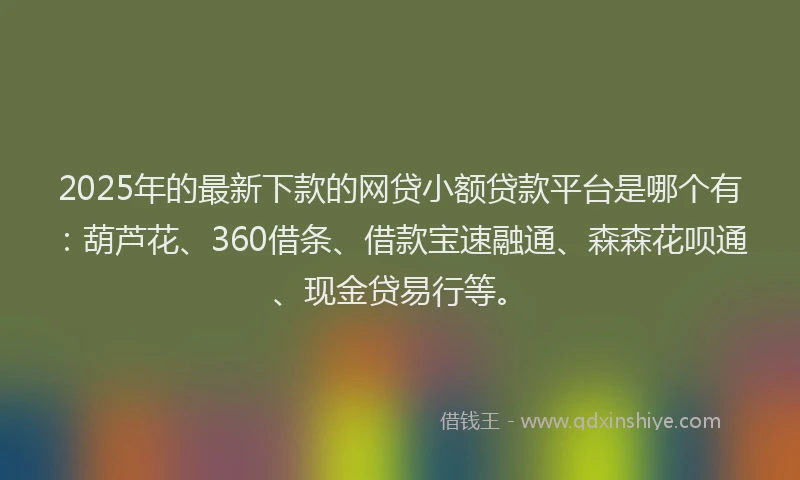 2025年的最新下款的网贷小额贷款平台是哪个有：葫芦花、360借条、借款宝速融通、森森花呗通、现金贷易行等。