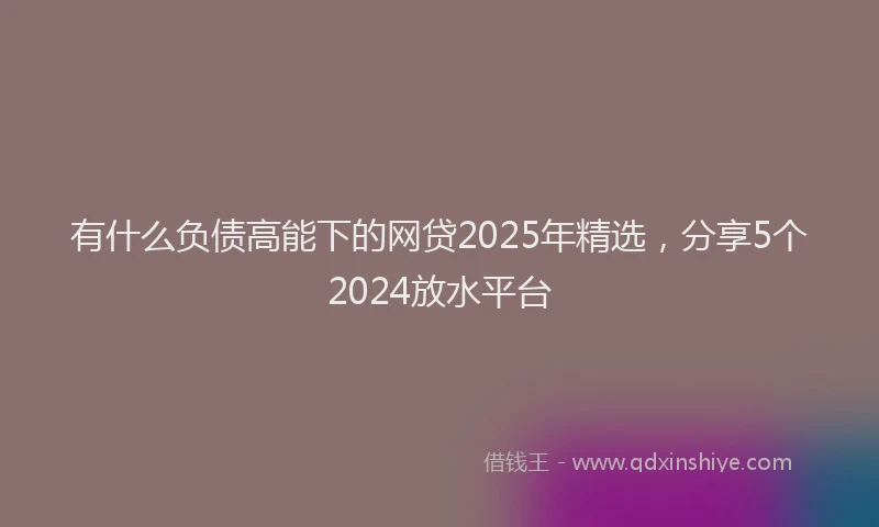有什么负债高能下的网贷2025年精选，分享5个2024放水平台