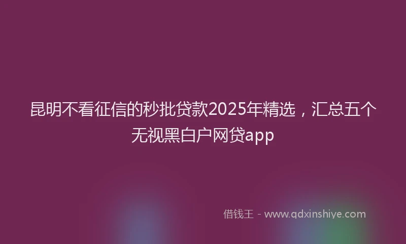 昆明不看征信的秒批贷款2025年精选，汇总五个无视黑白户网贷app