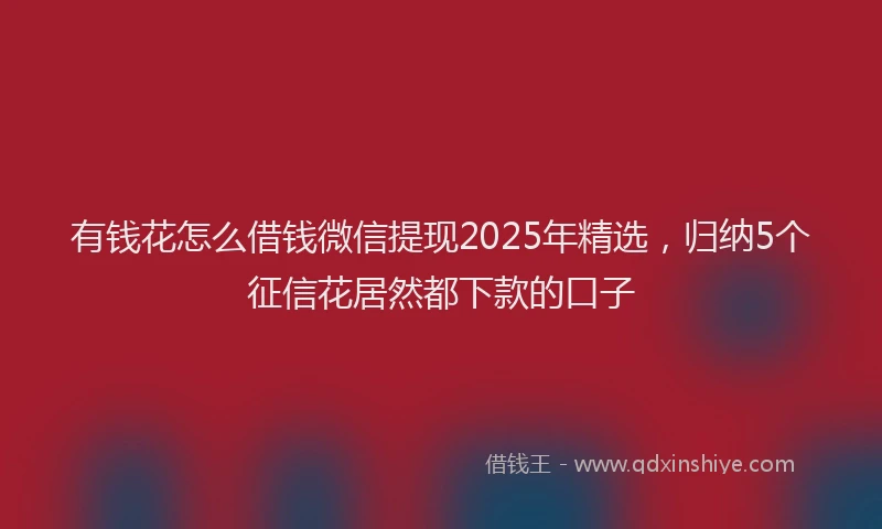 有钱花怎么借钱微信提现2025年精选，归纳5个征信花居然都下款的口子