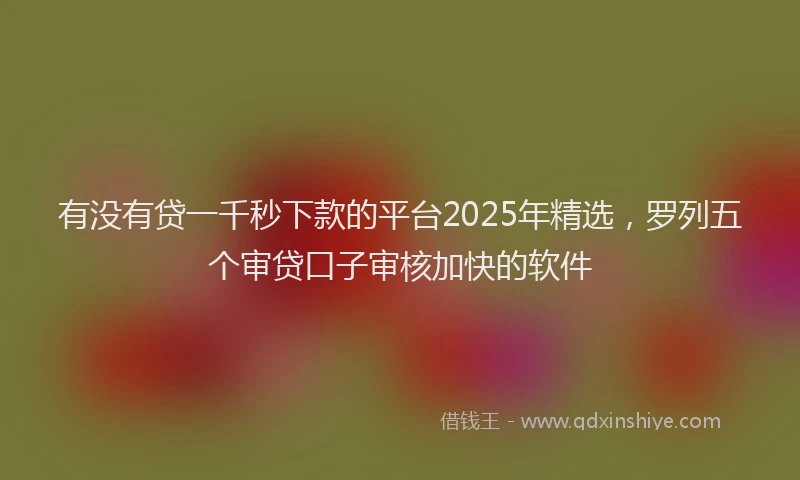 有没有贷一千秒下款的平台2025年精选，罗列五个审贷口子审核加快的软件