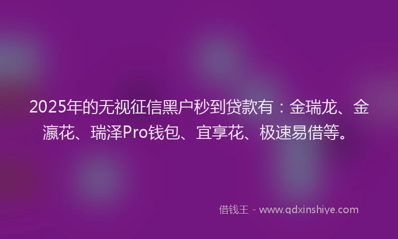 2025年的无视征信黑户秒到贷款有：金瑞龙、金瀛花、瑞泽Pro钱包、宜享花、极速易借等。