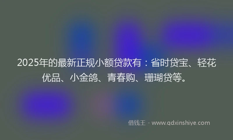 2025年的最新正规小额贷款有：省时贷宝、轻花优品、小金鸽、青春购、珊瑚贷等。