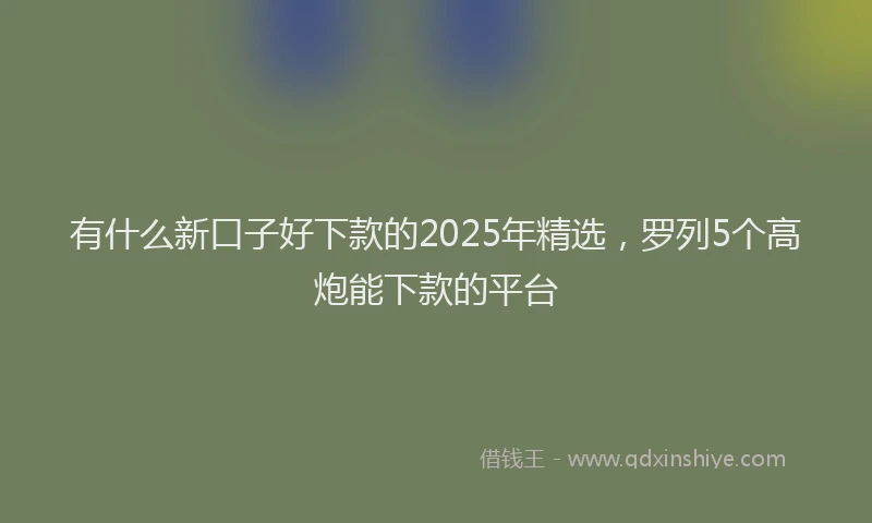 有什么新口子好下款的2025年精选，罗列5个高炮能下款的平台