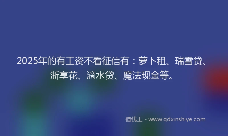 2025年的有工资不看征信有：萝卜租、瑞雪贷、浙享花、滴水贷、魔法现金等。