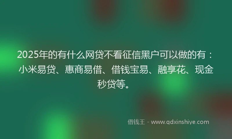 2025年的有什么网贷不看征信黑户可以做的有：小米易贷、惠商易借、借钱宝易、融享花、现金秒贷等。