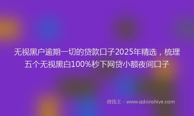 无视黑户逾期一切的贷款口子2025年精选，梳理五个无视黑白100%秒下网贷小额夜间口子