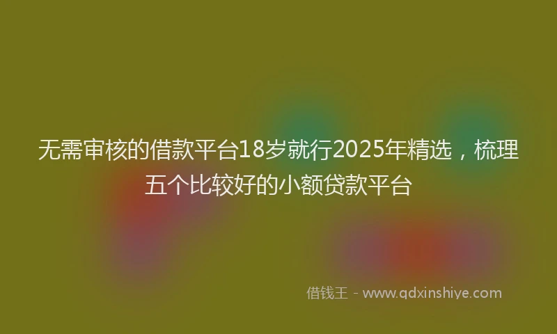 无需审核的借款平台18岁就行2025年精选，梳理五个比较好的小额贷款平台
