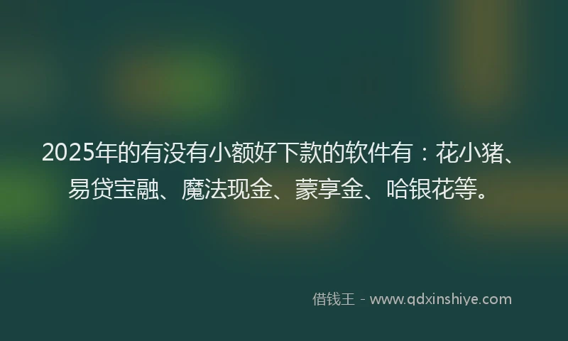 2025年的有没有小额好下款的软件有：花小猪、易贷宝融、魔法现金、蒙享金、哈银花等。