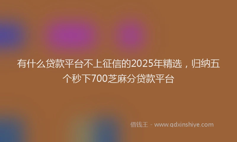 有什么贷款平台不上征信的2025年精选，归纳五个秒下700芝麻分贷款平台