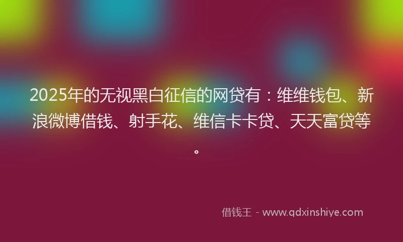 2025年的无视黑白征信的网贷有：维维钱包、新浪微博借钱、射手花、维信卡卡贷、天天富贷等。