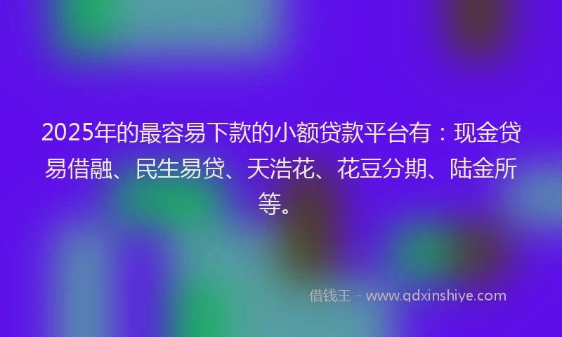 2025年的最容易下款的小额贷款平台有：现金贷易借融、民生易贷、天浩花、花豆分期、陆金所等。