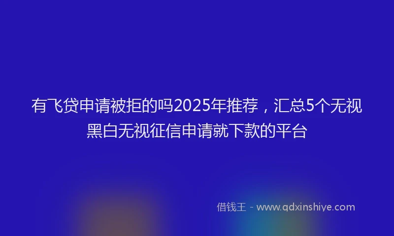 有飞贷申请被拒的吗2025年推荐，汇总5个无视黑白无视征信申请就下款的平台