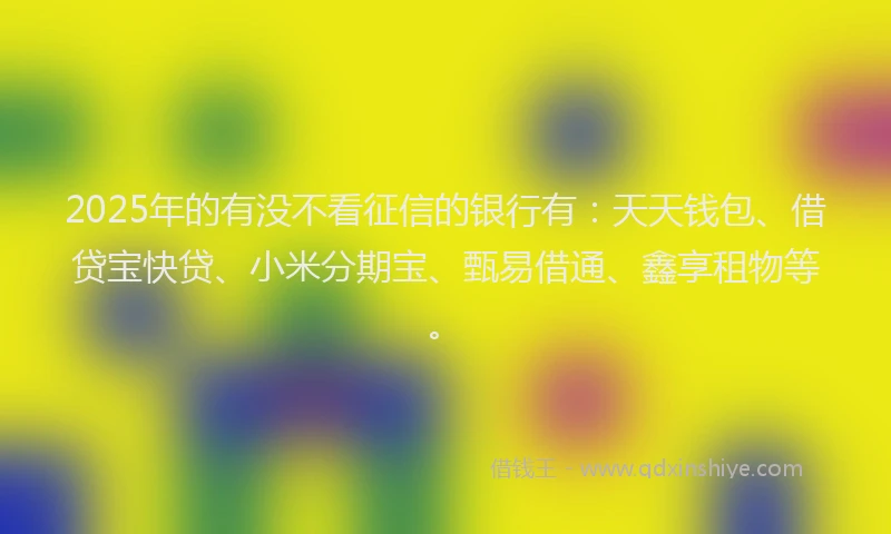 2025年的有没不看征信的银行有：天天钱包、借贷宝快贷、小米分期宝、甄易借通、鑫享租物等。