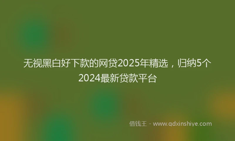 无视黑白好下款的网贷2025年精选，归纳5个2024最新贷款平台