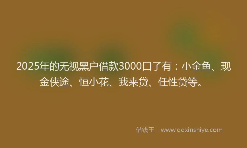 2025年的无视黑户借款3000口子有：小金鱼、现金侠途、恒小花、我来贷、任性贷等。