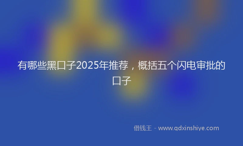 有哪些黑口子2025年推荐，概括五个闪电审批的口子