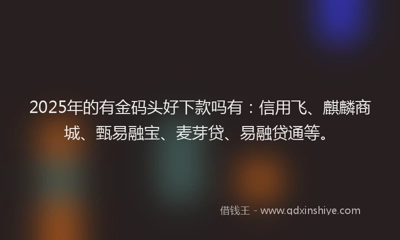 2025年的有金码头好下款吗有：信用飞、麒麟商城、甄易融宝、麦芽贷、易融贷通等。