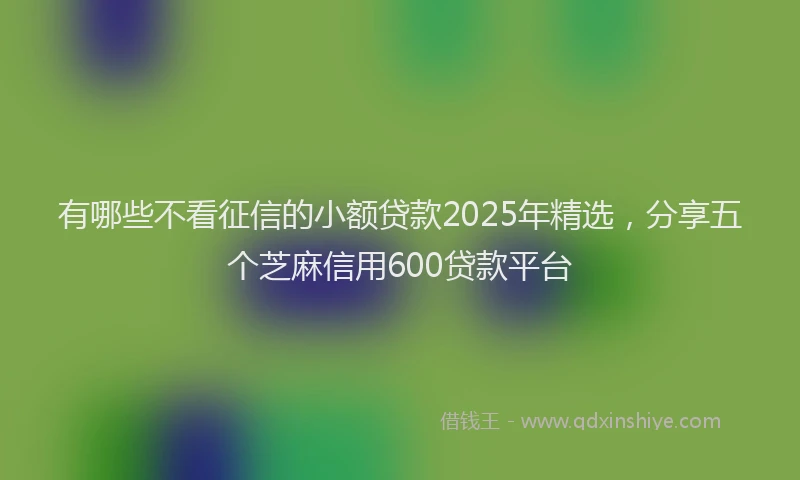 有哪些不看征信的小额贷款2025年精选，分享五个芝麻信用600贷款平台