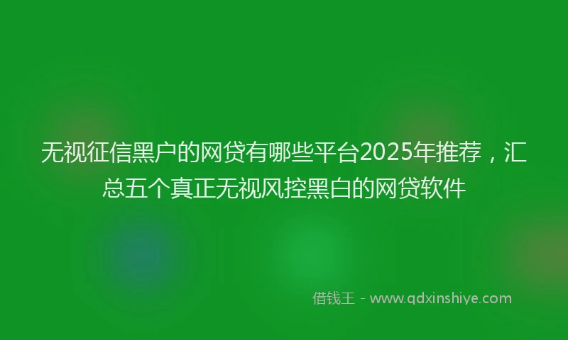 无视征信黑户的网贷有哪些平台2025年推荐，汇总五个真正无视风控黑白的网贷软件