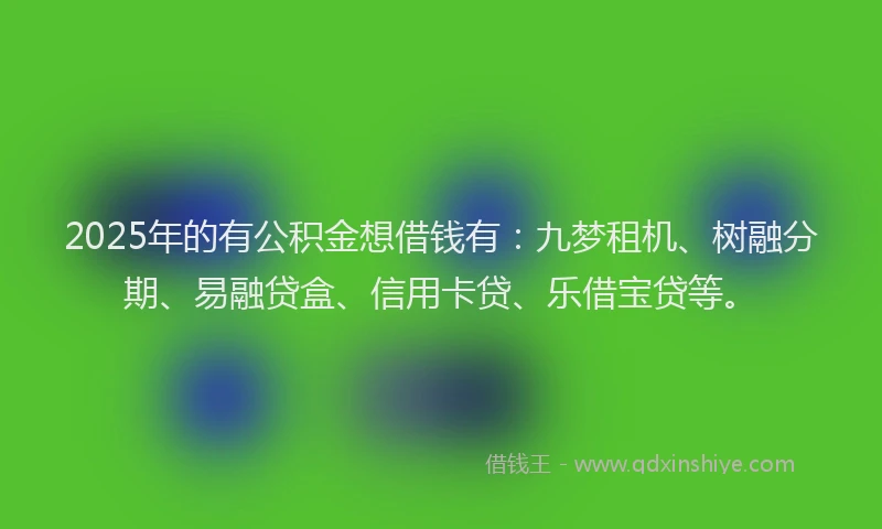 2025年的有公积金想借钱有：九梦租机、树融分期、易融贷盒、信用卡贷、乐借宝贷等。
