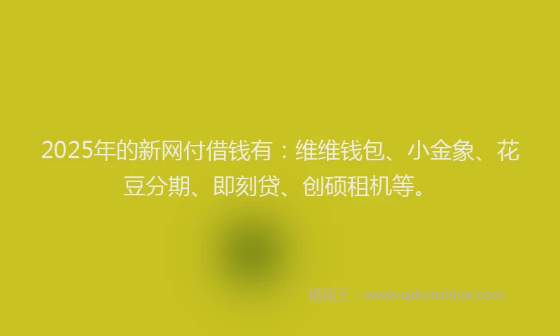 2025年的新网付借钱有：维维钱包、小金象、花豆分期、即刻贷、创硕租机等。