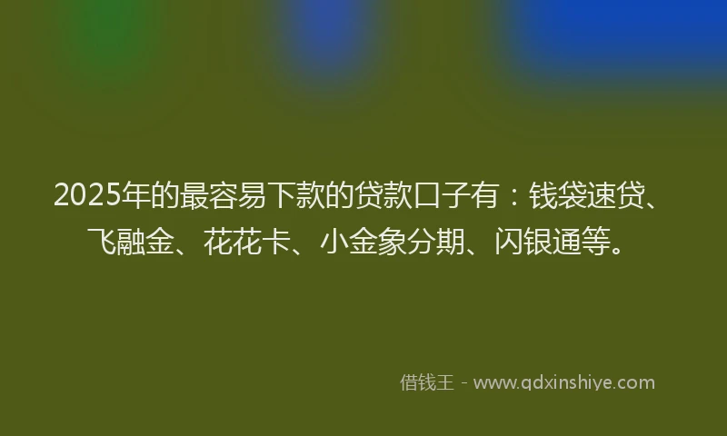 2025年的最容易下款的贷款口子有：钱袋速贷、飞融金、花花卡、小金象分期、闪银通等。