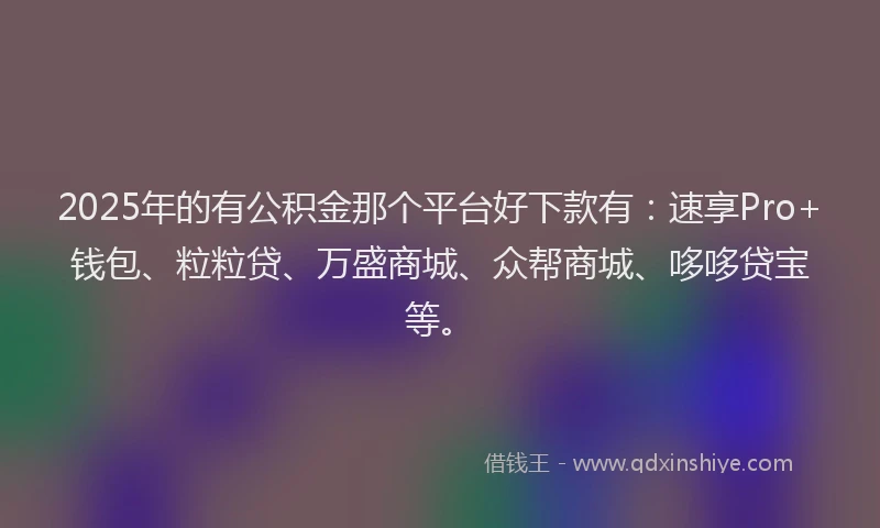 2025年的有公积金那个平台好下款有：速享Pro+钱包、粒粒贷、万盛商城、众帮商城、哆哆贷宝等。