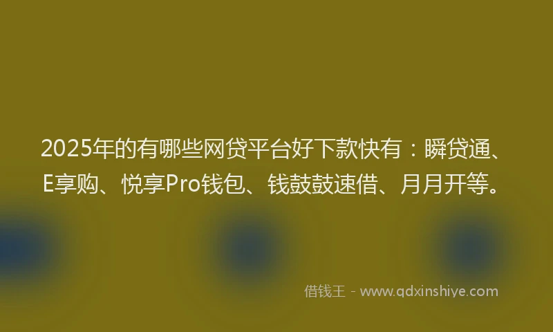 2025年的有哪些网贷平台好下款快有：瞬贷通、E享购、悦享Pro钱包、钱鼓鼓速借、月月开等。
