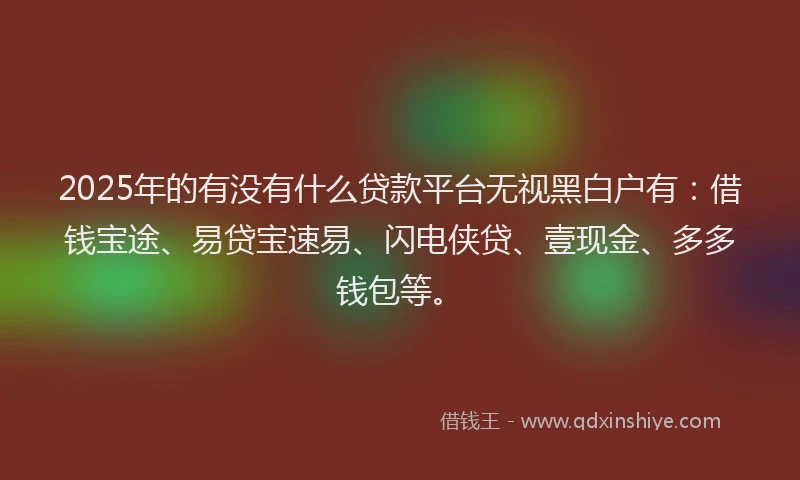 2025年的有没有什么贷款平台无视黑白户有：借钱宝途、易贷宝速易、闪电侠贷、壹现金、多多钱包等。