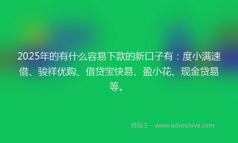 2025年的有什么容易下款的新口子有：度小满速借、骏祥优购、借贷宝快易、盈小花、现金贷易等。