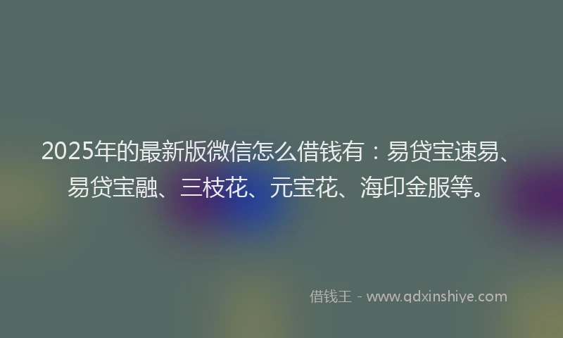 2025年的最新版微信怎么借钱有：易贷宝速易、易贷宝融、三枝花、元宝花、海印金服等。