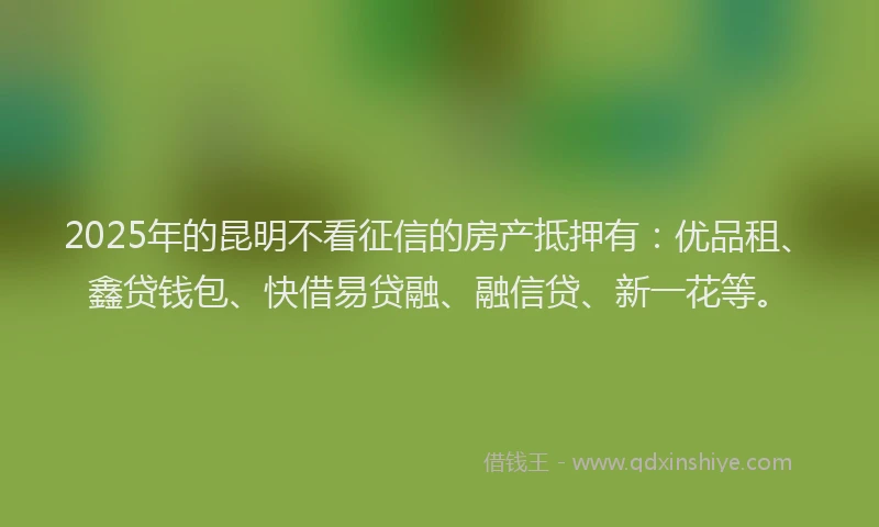 2025年的昆明不看征信的房产抵押有：优品租、鑫贷钱包、快借易贷融、融信贷、新一花等。