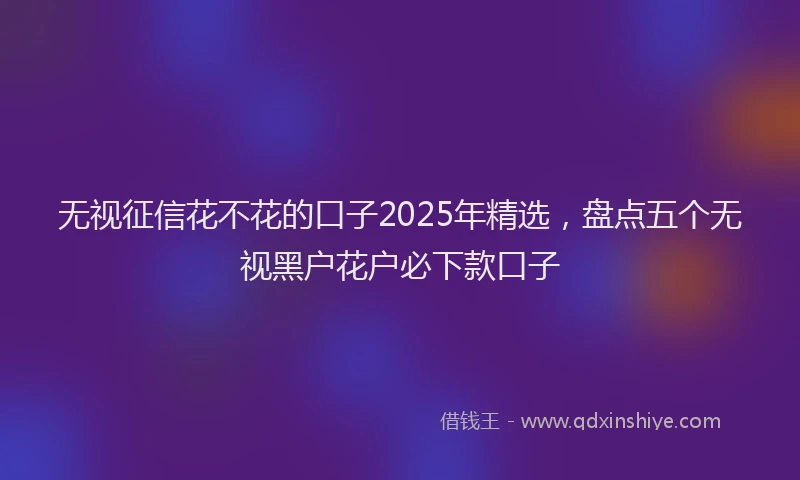 无视征信花不花的口子2025年精选，盘点五个无视黑户花户必下款口子